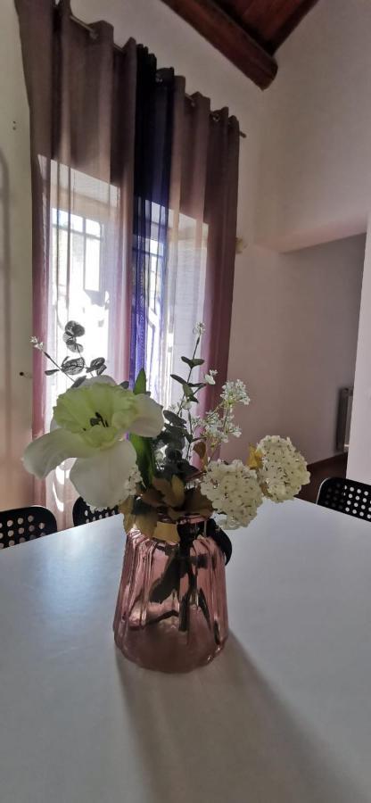 Casa Bellini Διαμέρισμα Παλέρμο Εξωτερικό φωτογραφία